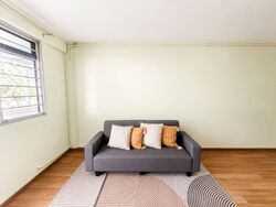 Blk 170 Stirling View (Queenstown), HDB 3 Rooms #588859721